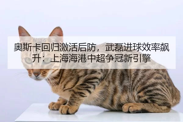 ao-si-ka-hui-gui-ji-huo-hou-fang-wu-lei-jin-qiu-xiao-lv-biao-sheng-shang-hai-hai-gang-zhong-chao-zheng-guan-xin-yin-qing-2-637.jpg