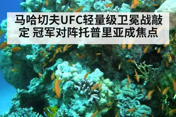 马哈切夫UFC轻量级卫冕战敲定 冠军对阵托普里亚成焦点